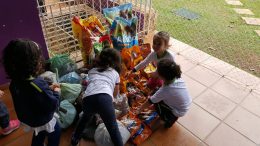 educare-escola-do-bem
