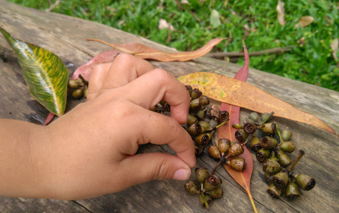 criancas e natureza